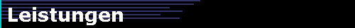  Leistungen 